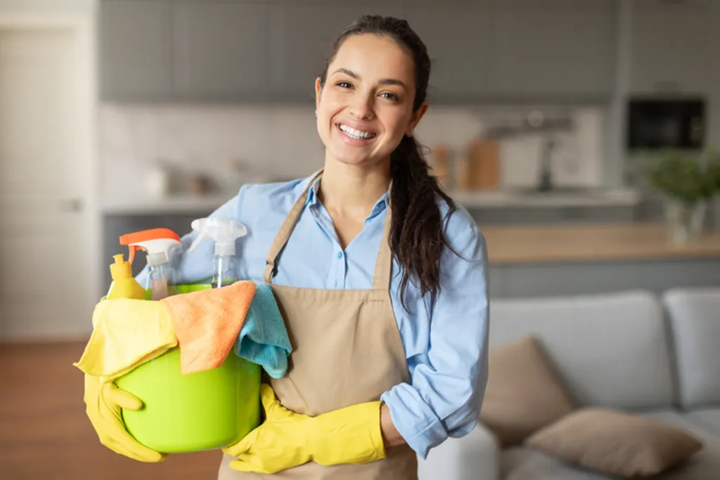Lady Cleaning